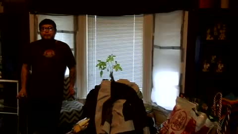 Snapshot of oflores77 chatting on March 1, 1:02 pm oscar flores online show from March 1, 1:02 pm