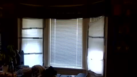 Snapshot of oflores77 chatting on April 6, 1:12 pm oscar flores online show from April 6, 1:12 pm
