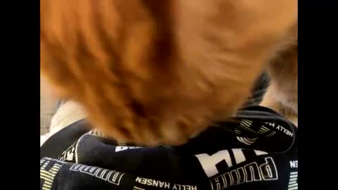 oggs48 online show from October 21, 11:22 am