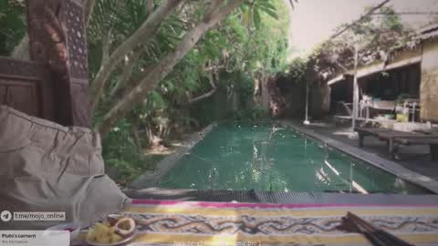 Mo online show from November 11, 1:05 am