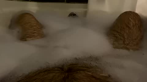 Snapshot of oldbones2 chatting on February 17, 1:36 am oldbones2 online show from February 17, 1:36 am