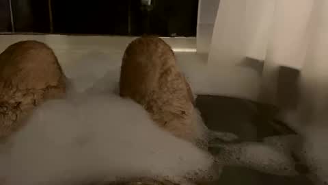 Snapshot of oldbones2 chatting on February 24, 2:51 am oldbones2 online show from February 24, 2:51 am