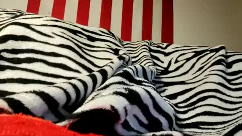 Snapshot of olewrench945706 chatting on September 17, 4:25 am Laura online show from September 17, 4:25 am