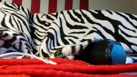 Snapshot of olewrench945706 chatting on September 18, 6:04 am Laura online show from September 18, 6:04 am