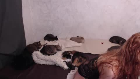 Olivia online show from January 13, 4:23 pm