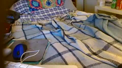 Mattu online show from November 11, 7:41 am