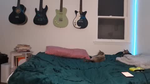 Snapshot of onlystrings chatting on March 12, 2:52 am Duo online show from March 12, 2:52 am