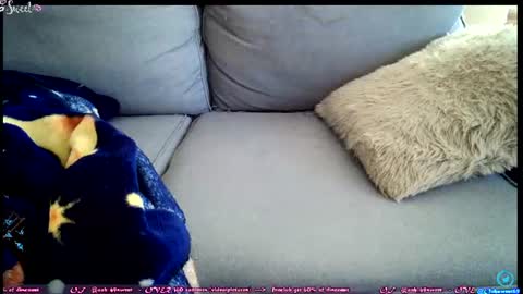  OF - Ooh 69sweet SNAP4LIFE OFFLINE  899 normal  VIP 1369 outside  online show from June 27, 2:34 pm