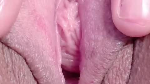 orchidekitty online show from March 18, 9:18 pm