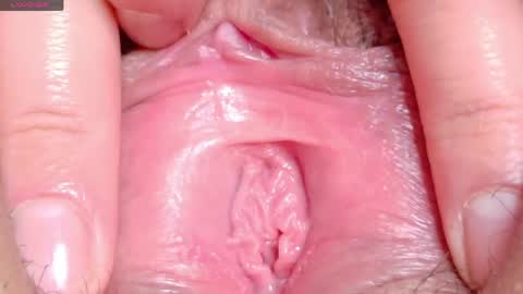 orchidekitty online show from April 29, 9:10 pm