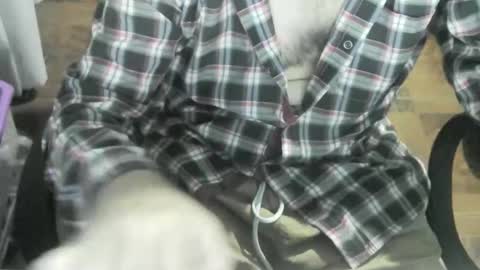 Ore online show from January 20, 12:46 am