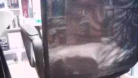 Snapshot of oren57 chatting on March 1, 2:44 pm oren online show from March 1, 2:44 pm