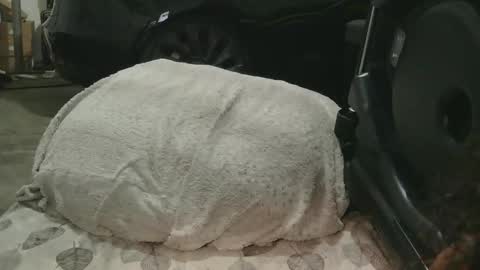 Snapshot of originalcali95 chatting on December 15, 1:32 am originalcali95 online show from December 15, 1:32 am