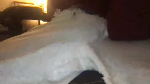 orvillewhitencocker online show from March 23, 11:20 pm