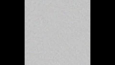 Oso Licencioso online show from November 25, 3:06 am