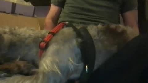 Snapshot of ossignol_xxx chatting on January 16, 6:14 am rossignol online show from January 16, 6:14 am