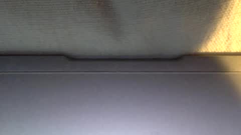 Otto online show from January 21, 4:05 pm