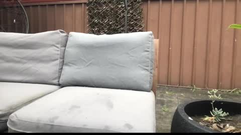 Hrny aussie surfer online show from September 27, 12:59 am