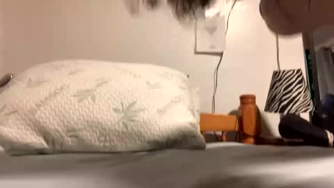 Snapshot of ozzy727 chatting on February 23, 2:53 am ozzy727 online show from February 23, 2:53 am