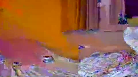 Snapshot of pachoxx9 chatting on February 1, 10:44 pm Pachoxx9 online show from February 1, 10:44 pm