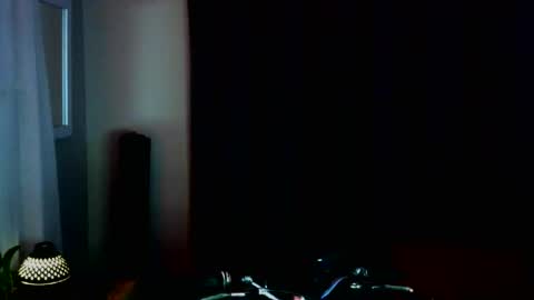 Snapshot of pale_dad_bod chatting on December 14, 1:33 am pale_dad_bod online show from December 14, 1:33 am