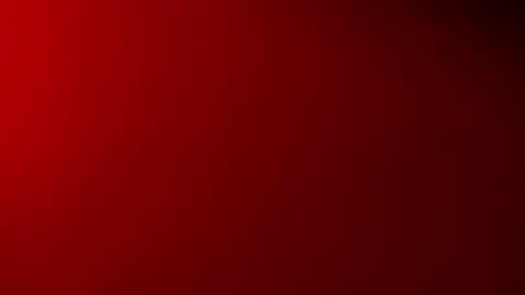  P A M  online show from November 18, 4:06 am