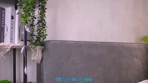 Diana online show from February 4, 6:52 am