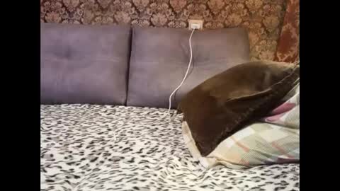 Snapshot of pancamo1000 chatting on January 5, 6:45 pm Pancamo online show from January 5, 6:45 pm