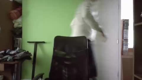 Snapshot of papitowilly999 chatting on March 11, 5:24 pm Papito online show from March 11, 5:24 pm