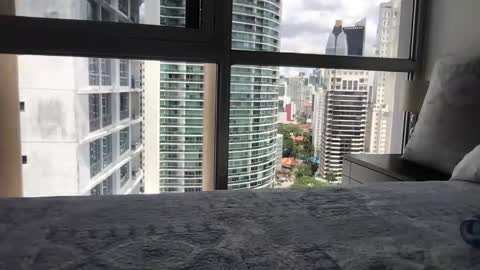 Snapshot of paradise_bird01 chatting on March 15, 5:30 pm Paradise Bird01 online show from March 15, 5:30 pm