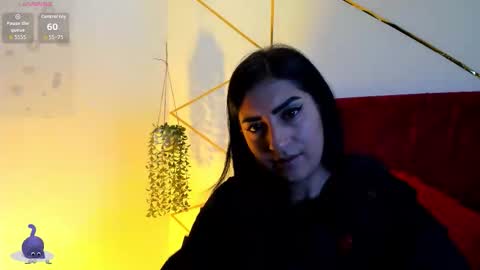 Snapshot of paris_evans_01 chatting on December 15, 12:31 pm paris_evans_01 online show from December 15, 12:31 pm