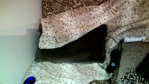 Snapshot of parlay0028 chatting on December 23, 10:33 pm Parlay tellio online show from December 23, 10:33 pm