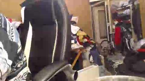 pascal88881 online show from December 2, 6:10 pm