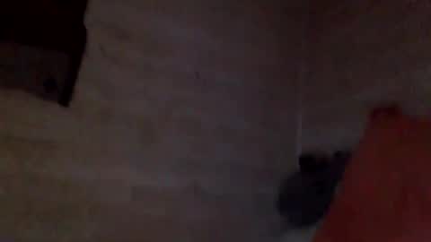 Snapshot of patibulaire1912 chatting on February 26, 10:25 am Pati24 online show from February 26, 10:25 am