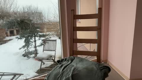 Andreea online show from February 24, 7:06 am