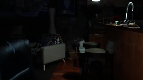 Snapshot of patvac chatting on February 2, 6:06 pm patvac online show from February 2, 6:06 pm