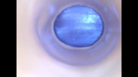 Paula 18 Aninhos online show from December 2, 2:28 am