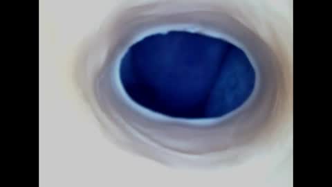 Paula 18 Aninhos online show from June 14, 2:24 am