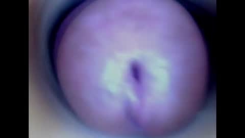 Paula 18 Aninhos online show from June 16, 1:30 am