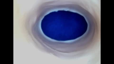 Paula 18 Aninhos online show from June 19, 5:06 pm