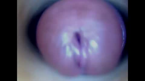 Paula 18 Aninhos online show from July 31, 1:21 pm