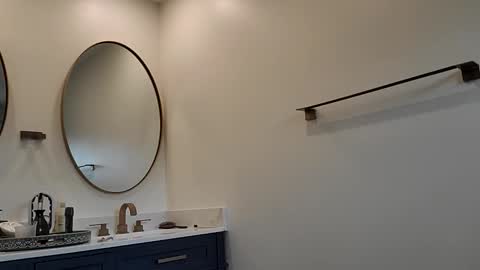 Pavone splash online show from December 1, 5:40 pm