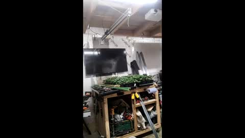 pawelniceguy online show from January 19, 2:26 am