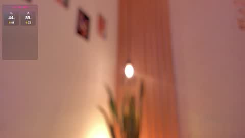 Snapshot of pawggirl18 chatting on June 19, 1:48 pm Dani online show from June 19, 1:48 pm