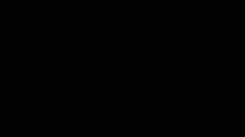 pearlatin online show from January 22, 2:48 am