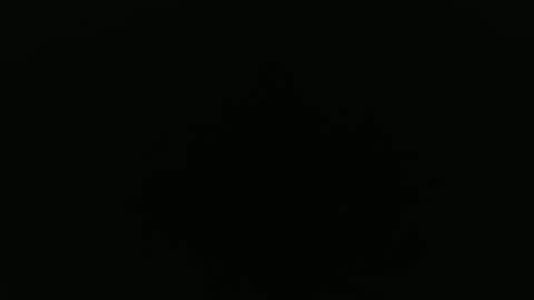 Snapshot of peavsters chatting on September 24, 8:28 am Alex online show from September 24, 8:28 am