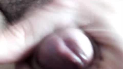 peiboluna online show from February 11, 10:59 am