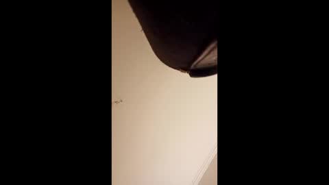 pelekenone online show from April 1, 4:24 am