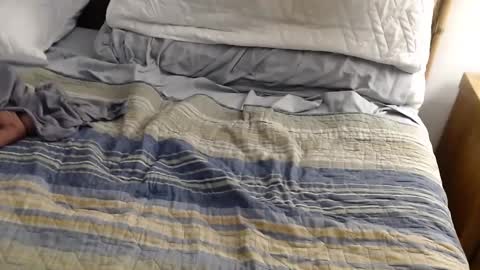 Snapshot of perdidobch chatting on December 13, 1:44 pm perdidobch online show from December 13, 1:44 pm