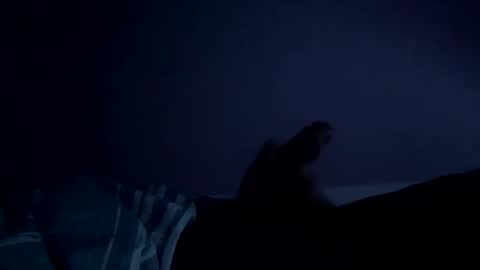 perfect427482577143 online show from February 26, 8:24 am